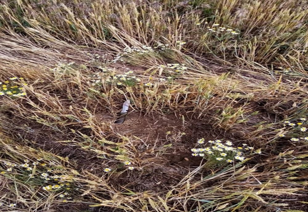 Cum a fost prins criminalul de la Herăști. Ce au descoperit polițiștii asupra lui