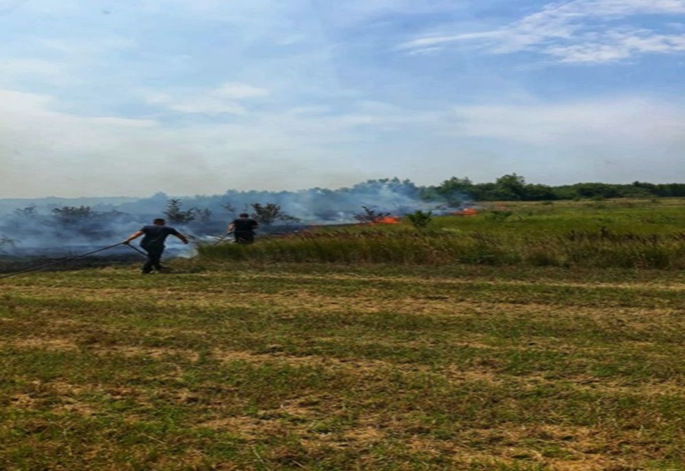 100 de hectare de miriște, în flăcări! Pompierii intervin 