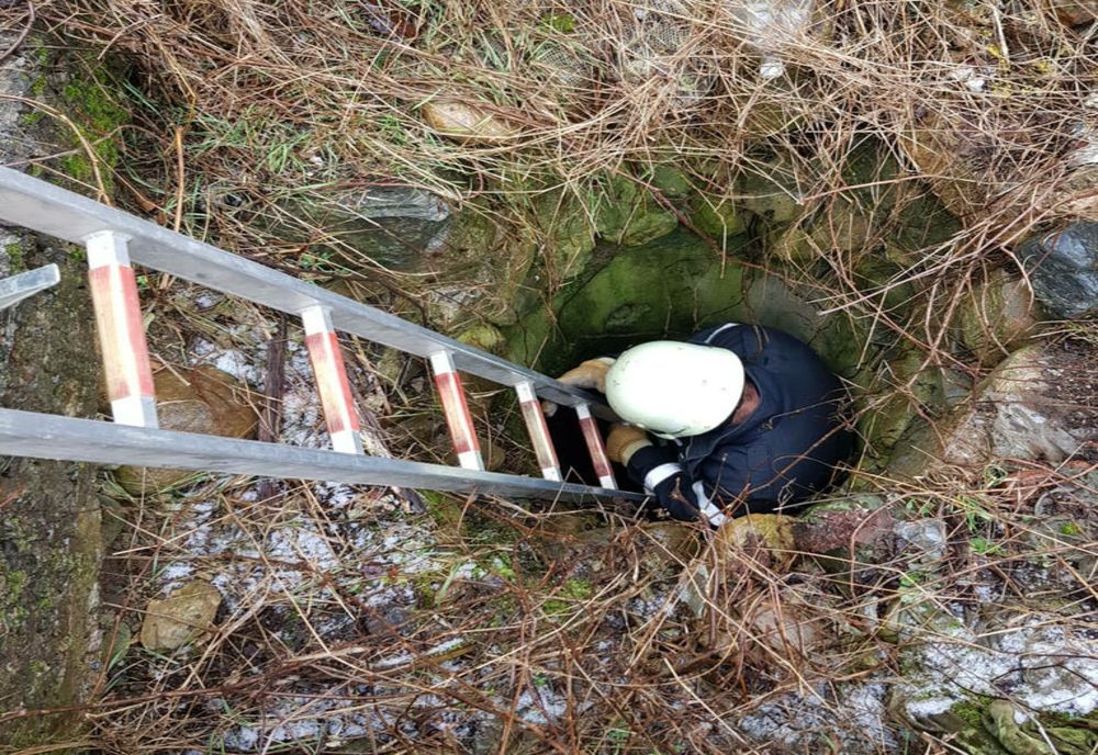 Salvatorii de la ISU Giurgiu au readus la viață un câine căzut într-o fânână