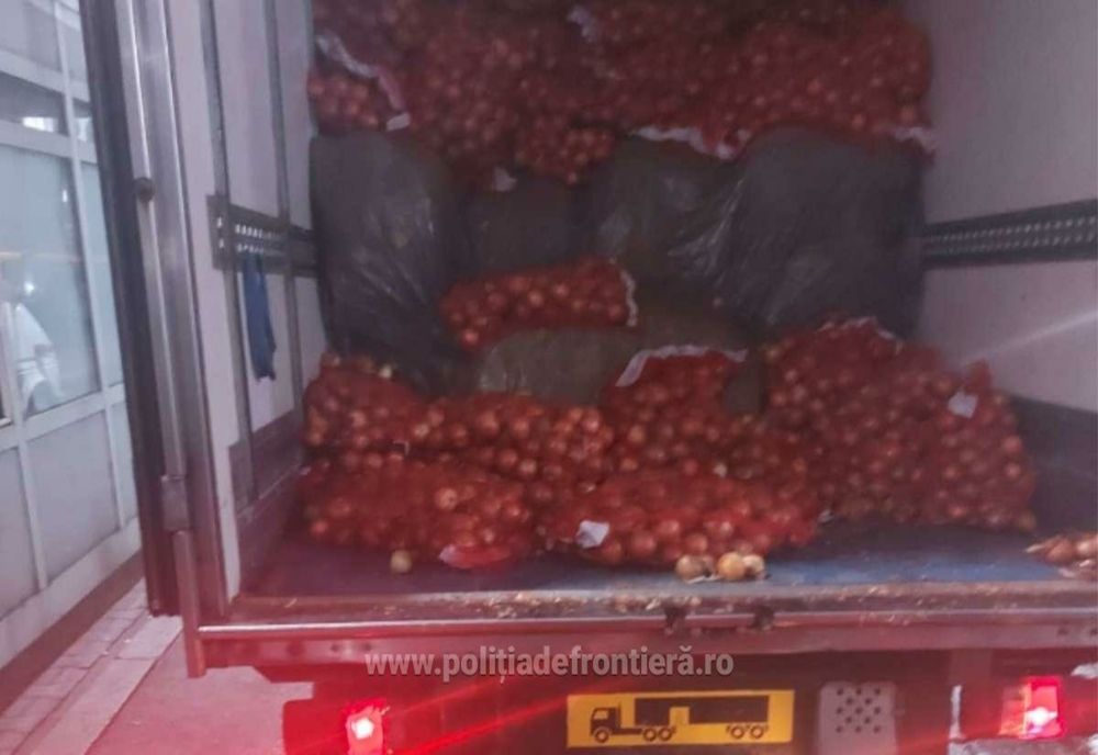 Aproximativ 1,7 tone de tutun vrac, confiscate în Vama Giurgiu