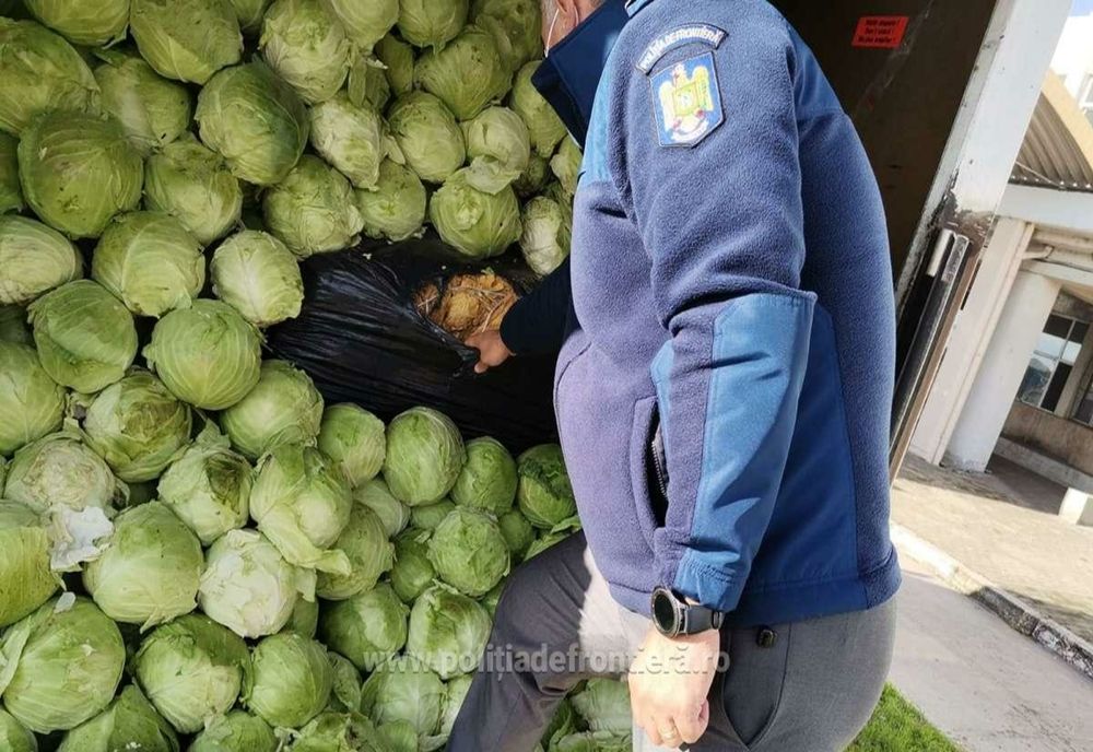 Aproximativ 9 tone de tutun vrac,  descoperite ascunse printre varză şi peleţi în P.T.F. Giurgiu