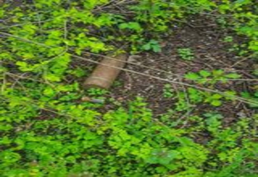 Proiectil de calibru 76 mm, neexplodat, găsit pe un câmp din Mihai Bravu