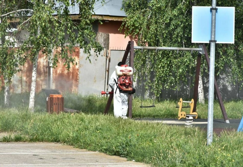 Au fost reluate acțiunile de dezinsecţie terestră
