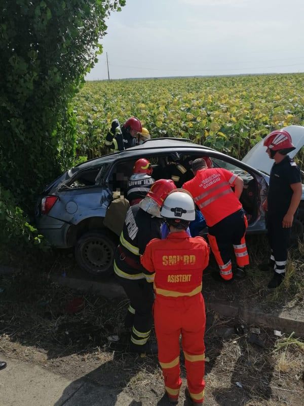 226701153_1160892657711661_1998323318295014474_n