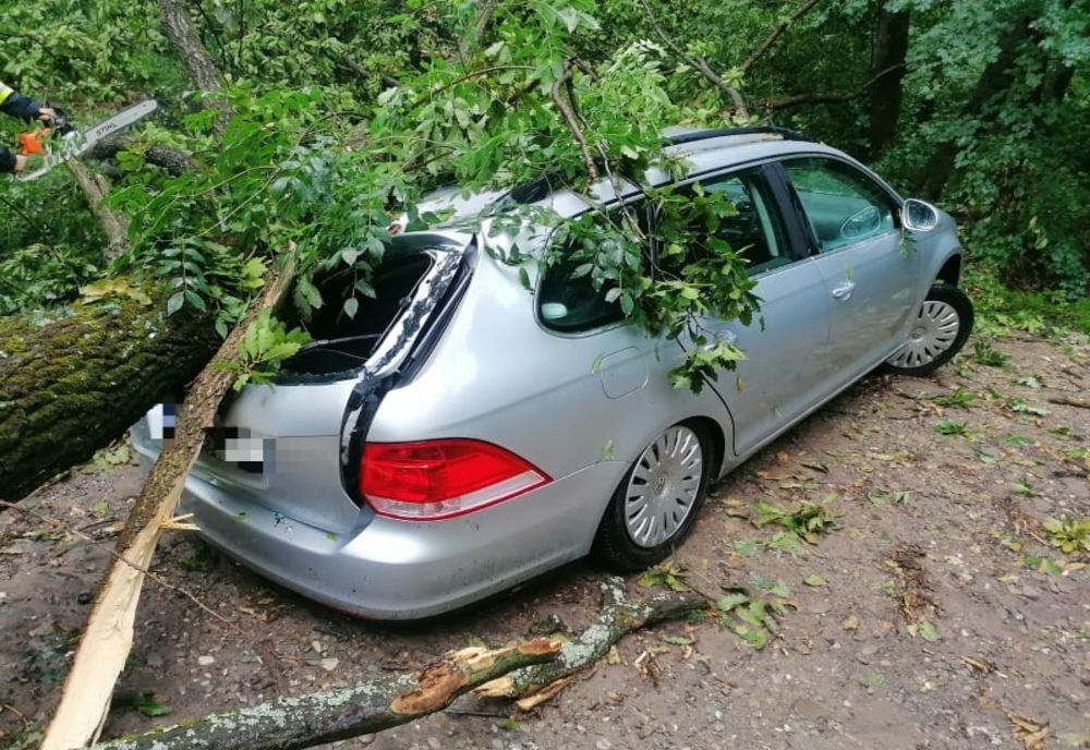 Giurgiu. Copaci doborâți de vânt pe un autoturism și pe carosabil