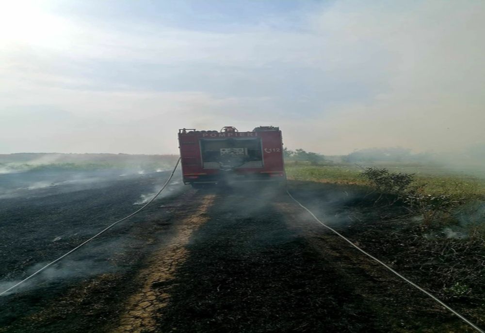 Două incendii de vegetație uscată, stinse de pompierii giurgiuveni în ultimele 24 de ore