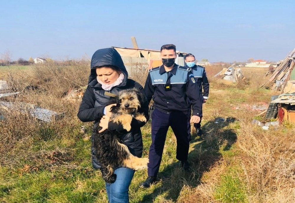 Biroul Poliția Animalelor Giurgiu: 178 de animale salvate şi 13 dosare penale în primul an de activitate