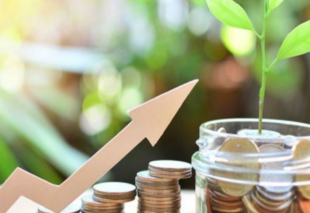 LECȚII de Educație Financiară pentru politicieni - Cum am putea folosi scumpirile în avantajul nostru