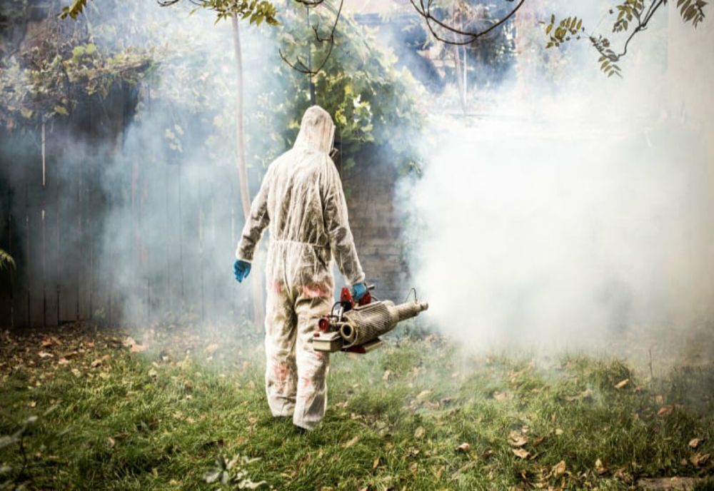 Când începe campania de dezinsecţie în Giurgiu