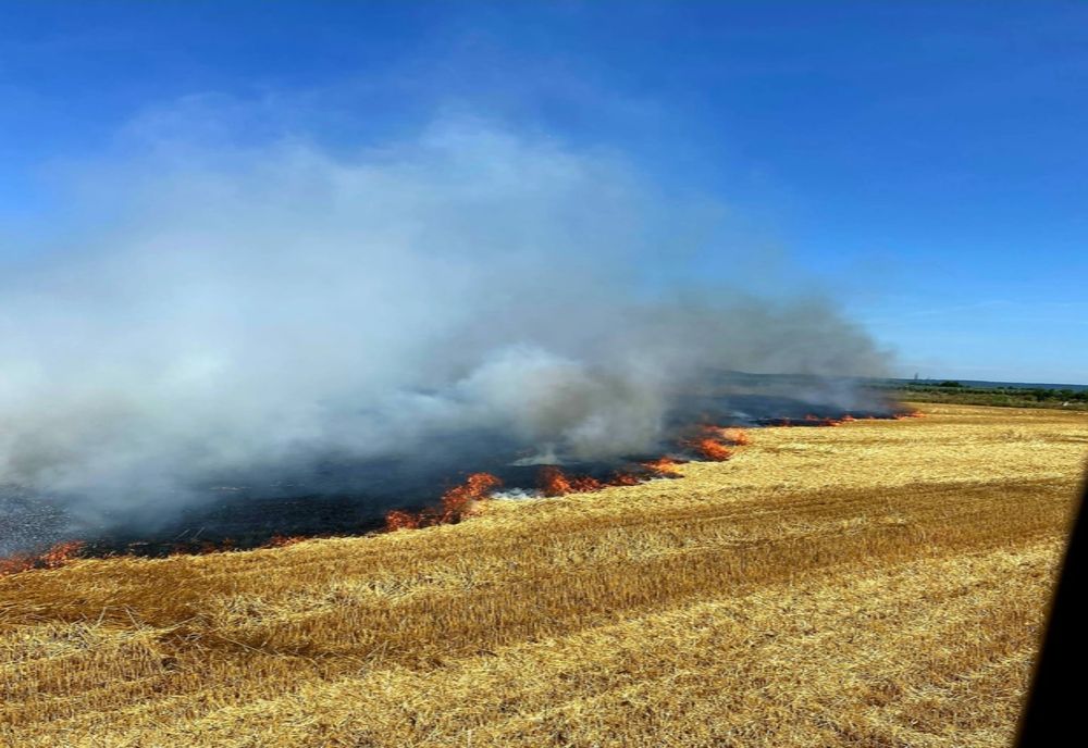 Giurgiu. Patru hectare de grâu au fost cuprinse de flăcări, la Vieru