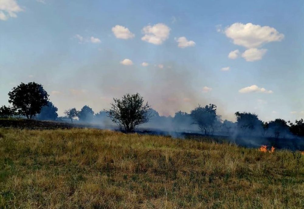 Un incendiu izbucnit ieri, pe strada Plopilor, din Giurgiu, a pus în pericol mai multe gospodării