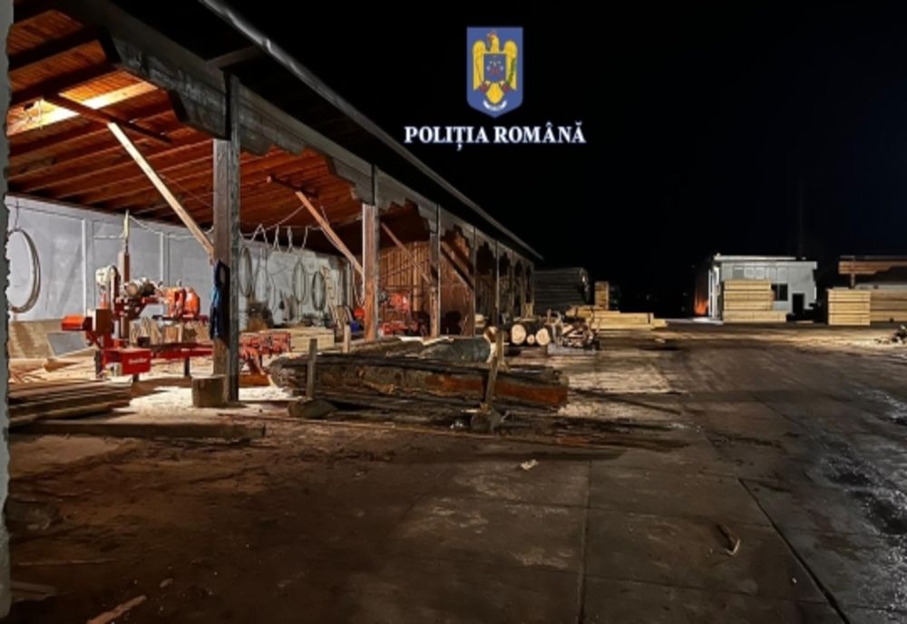 Polițiști din Prahova şi Giurgiu, mobilizați pentru 146 de percheziții,  în dosare de evaziune fiscală, spălare de bani, delapidare și tăiere ilegală de arbori