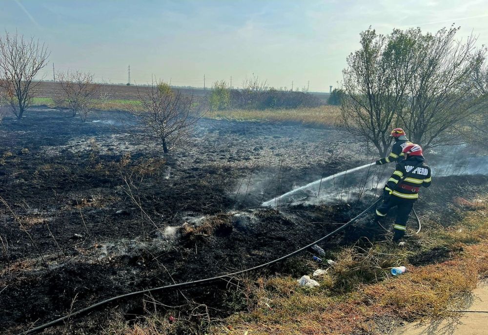 Giurgiu. Intervenţii ale pompierilor la mai multe incendii de vegetaţie uscată 