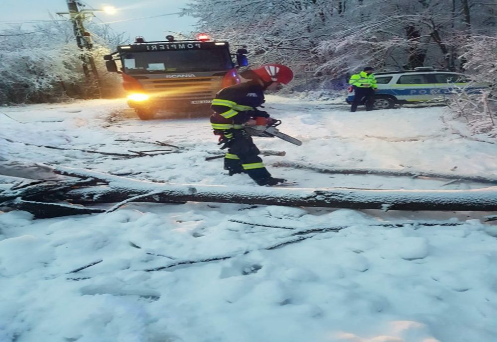 Copaci rupţi şi stâlpi de telefonie căzuţi pe carosabil, în judeţul Giurgiu