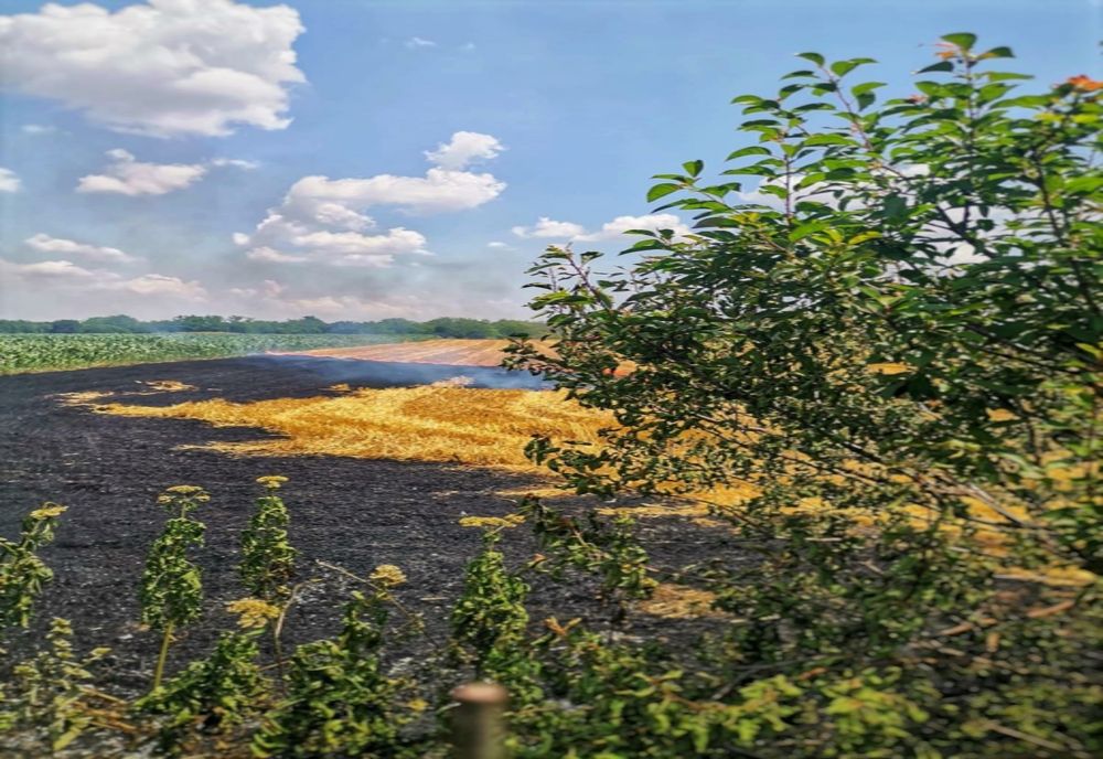 Incendiu în Onceşti! Un foc lăsat nesupravegheat într-o gospodărie s-a extins la o mirişte de grâu 