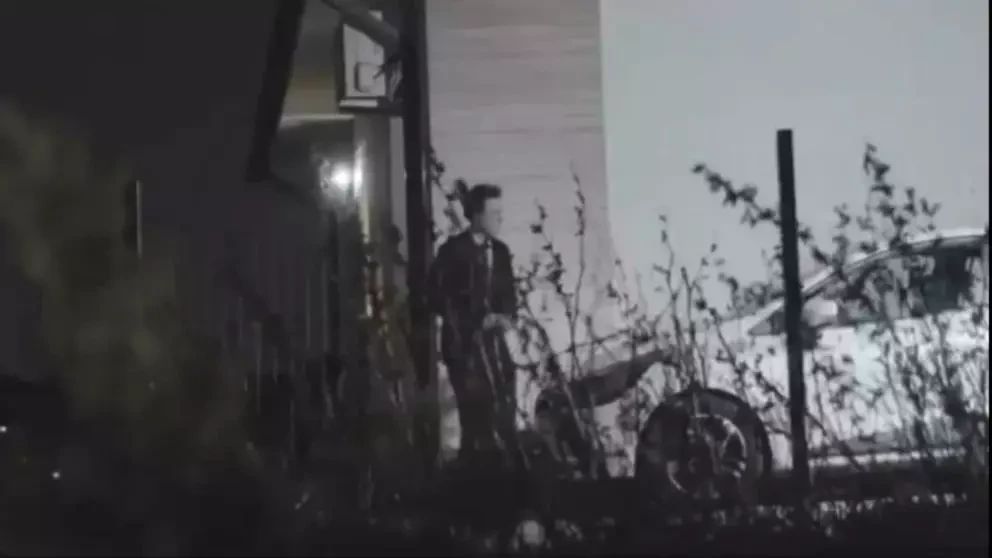 Pozele din 2024 postate de Elena Lasconi cu „Nicușor Dan”