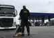 Controale dure la Punctul de Frontieră Giurgiu. Sunt monitorizate transporturile de animale vii