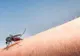 Încă o persoană a murit din cauza infectării cu virusul West Nile. Două cazuri la Giurgiu
