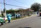 Giurgiu - județul unde autoritățile nu vor ucide porcii dacă nu sunt bolnavi