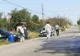 Porcii de lângă focarul de pestă din Brăniștari nu sunt infectați