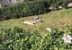 Imagini halucinante în fața Primăriei Giurgiu. Tânără dezbrăcată, aflată sub influența drogurilor, face plajă!