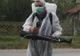 Un primar din județul Giurgiu face dezinfecție în localitate, deși nu are focar de pestă