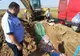 Resturi de carcasă de porc şi pui, cu miros pestilenţial şi fără documente de provenienţă confiscate de polițiști