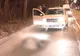 Accident neobişnuit. Un porc mistreţ a fost lovit de un autoturism, în Giurgiu