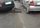 Accident rutier grav pe DN 6. Trei persoane au fost rănite, una fiind inconștientă  
