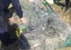 Jandamii asigură ordinea publică la meciul dintre Astra Giurgiu- Dunărea Călărași
