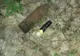 Proiectile descoperite de un pădurar, la Băneasa