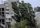 Trei zile cu ploi torențiale, vijelii și descărcări electrice, în județul Giurgiu