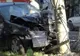 A distrus gardul vecinilor, după ce a încercat să-și parcheze autoturismul