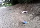 Ecologizare a malurilor Dunării, la Giurgiu, de ziua fluviului