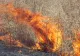 ATENŢIE CETĂŢENI! Incendiile de vegetaţie reprezintă un pericol pentru viaţă, bunuri materiale şi mediu