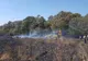 Pompieri din trei județe au intervenit la un incendiu de vegetație din vecinătatea unei păduri din județul Giurgiu