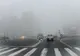 Ceață densă pe drumurile din județul Giurgiu. Ce recomandă polițiștii