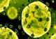 Australia a confirmat primul său caz de îmbolnăvire cu noul tip de coronavirus în statul Victoria