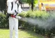 Planificarea activităților de dezinfecție și dezinsecție pentru combaterea infecției cu noul coronavirus COVID-19