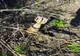 Două proiectile descoperite în balta de la Bălănoaia