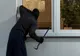 Poliţiştii giurgiuveni au identificat autorii mai multor furturi din locuinţe