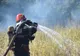 Sute de hectare de miriște de grâu au ars, la Prundu. Ce le recomandă pompierii agricultorilor