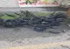 Giurgiu. Incendiu la o baracă din lemn din Parcul Alei
