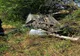 Accident grav pe A1, la Bolintin Vale. Tânără de 23 de ani, găsită inconștientă, la 15 metri de mașina pe care o conducea  