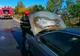 Autoturism în flăcări pe DN 5 Giurgiu - București  