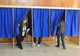 Două sesizări electorale la Giurgiu privind nereguli la vot