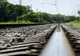 Exproprieri în Comana și Vidra pentru modernizarea liniei de cale ferată București-Giurgiu