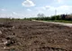 Acțiuni de salubrizare în Giurgiu, cu prilejul Zilelor Municipiului