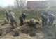 Cum au marcat jandarmii giurgiuveni Ziua Armei