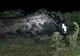 Accident mortal în județul Giurgiu. Un tânăr de 26 de ani și-a pierdut viața după ce autoturismul pe care îl conducea s-a răsturnat